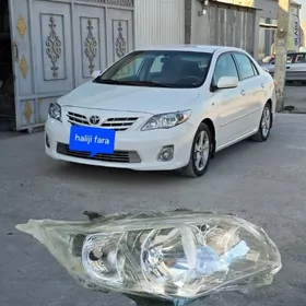 haliji fara cyra carolla 11 13