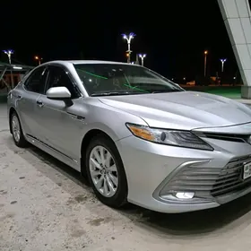 Toyota Camry 2019