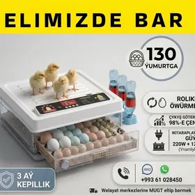  Inkubator Towuk Horaz Jüýje