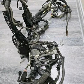 Электропроводка Lexus