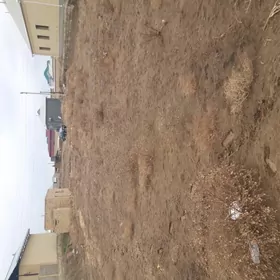 satlyk 16sotok mellek jaý