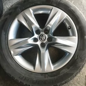 Haylandyr diska ARGINAL