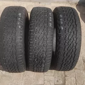 pakrişga 235 65 17lik BFGOOdri