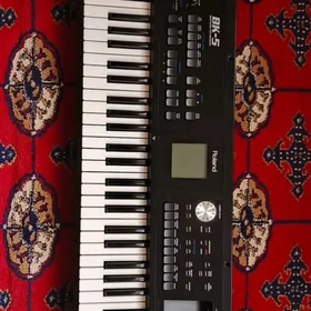 ROLAND BK-5