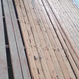 POLLUK AGAC LAMINAT ALYAS