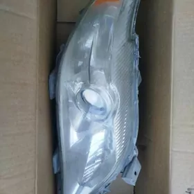 fara okuz kelle 2010