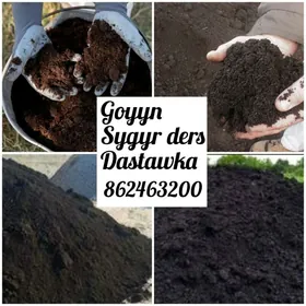 Ders gum ders myty навоз d