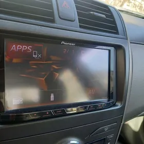 4850  arginal pioneer