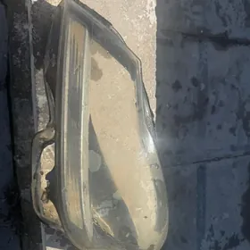 faran yuzi zapjaslary