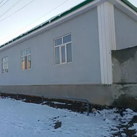 Anew Ahal koçe 10-sotak