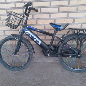 welosiped çagalaňky