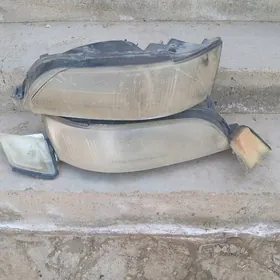 mark fara kampelikit