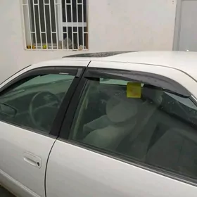 Kaziryok kazrok витровики