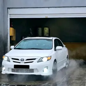 Moýka işgär gerek