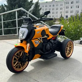 TIGIR MATOR BASEYKA ROLIK STOL