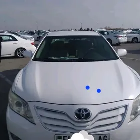 Toyota Camry 2010