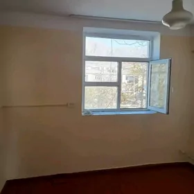 ️209 ARENDA JAY EYESINDEN️