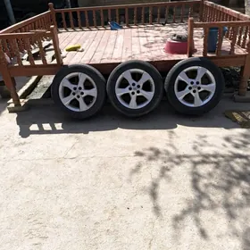 karolla excluziw arginal