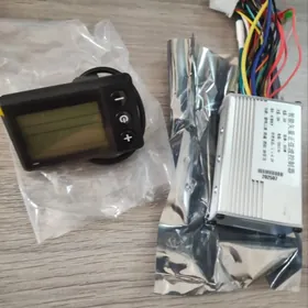 Tokly tigirlerin atyaclyk şayl