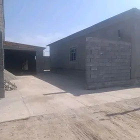 ucaska satlik gulistan