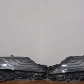 fara xse kemri amerkanka