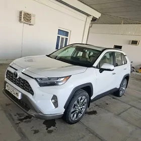 Toyota RAV4 2023