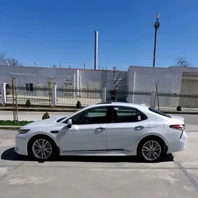 Toyota Camry 2019