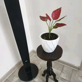 подставка под цветок