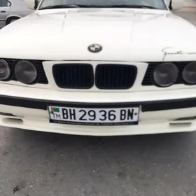oblisowka syroky e34