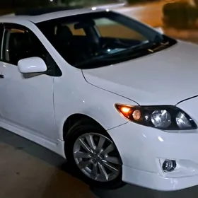 Toyota Corolla 2010