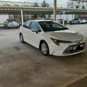 Toyota Corolla 2021