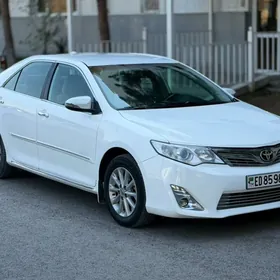 Toyota Camry 2013