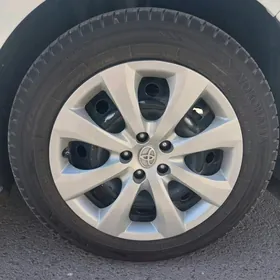 teker karolla 16gysagly