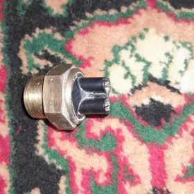 wentilýator açýan datçik