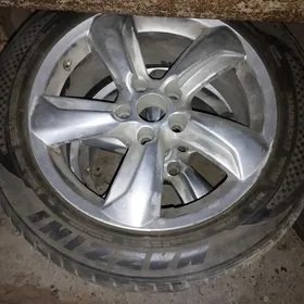 дисга пакрышга