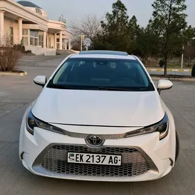 Toyota Corolla 2020