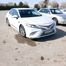 Toyota Camry 2020