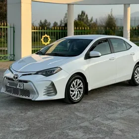 Toyota Corolla 2019