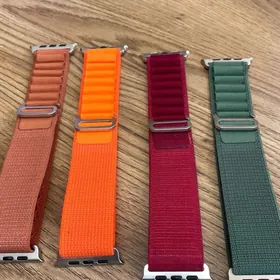 4244 Appl wacat remen