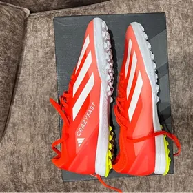 Сороконожки