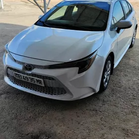 Toyota Corolla 2022