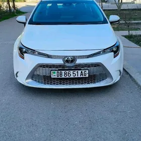 Toyota Corolla 2019