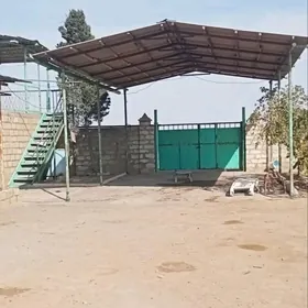 Туркмен Джай