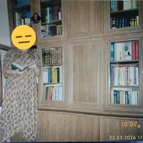 skag / книжный шкаф