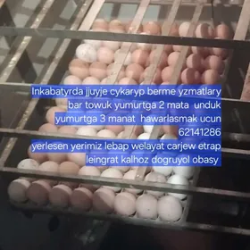 gus kopeltmGuslar popeltme