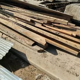 agaclar stropila lyaga cerepno