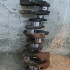 maksima 2.0lik 3lik wal