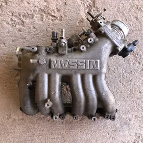 PAUK ZASLONKASY BILEN