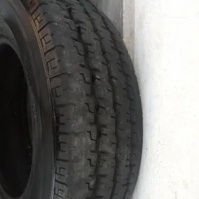 Petlas tekeriñ ady15likPetlmsn