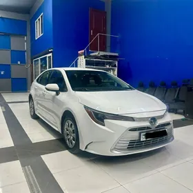 Toyota Corolla 2023